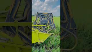 Trackcombine harvester shortsfeed shortvideo trending viralvideo tractorvideo cartoon new [upl. by Ulland]