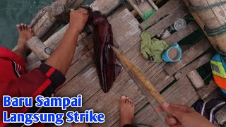 Mancing di Bagan Apung Pelabuhan Ratu Pesta Strike di Sore Hari [upl. by Fabian]