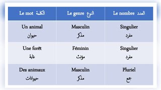 le genre et le nombre  masculin\ féminin singulier\ pluriel [upl. by Renaud]