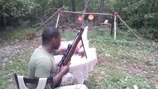 5000 shotBeeman RS2 Dual Cailber 22 Cal Crony Test [upl. by Gorey]