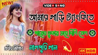 amar garir tanki ta আমার গায়ের টাংকিতে পায়েব ঢুকায় ভরে দিলি তেল  new Nagpuri song  Dj Probir [upl. by Atteoj]