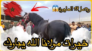 🚨الله الله اليوم من سوق الكفاف📍 المليح موجود دخل عود ملكي🤯 تعطاتو 14 المليون تبارك الله [upl. by Karr253]