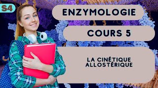 enzymologie S4 la cinétique allostérique cour SVI [upl. by Stoeber365]