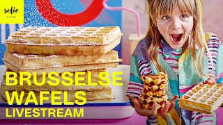 Heerlijke Brusselse Wafels  Sofie Dumont  Livestream [upl. by Forcier185]