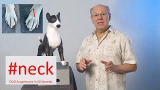 Dogs Acupressure Secret to Soothe Your Dogs Neck Woes [upl. by Amador116]