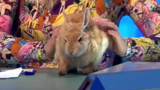 8 Out Of 10 Cats Does Countdown Series 7 Episode 3 [upl. by Yrok]