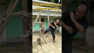 Level 6 23 Wing Chun Movements [upl. by Perice]