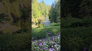 Butchart Gardens ButchartGardens victoriabc waterfountain flowers canada [upl. by Nreval]