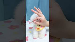 pomeranian dog dogs pet pets teacupdogs [upl. by Anrat113]