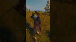 The Witcher 3 thewitcher3 thewitcher3wildhunt thewitcher witcher3 witcher shorts thewitcher1 [upl. by Anehc]