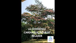 Cohérence cardiaque cardiac coherence  Le papillon dans le jardin [upl. by Standish]