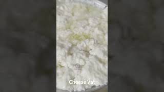 How to make mozzarella cheese dairy cheese [upl. by Yaja]