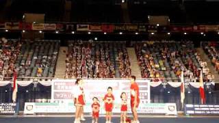 3rd Asian Cheerleading Competition  Japanese Family Cheering Exhibition [upl. by Dorolisa]