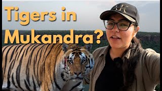 How many Tigers are there inside MUKANDRA HILLS TIGER RESERVE  ATR DAILY VLOG  18 [upl. by Eylsel]