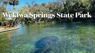 Wekiwa Springs State Park Camping and Kayaking CarolBeauty of Nature [upl. by Collbaith]