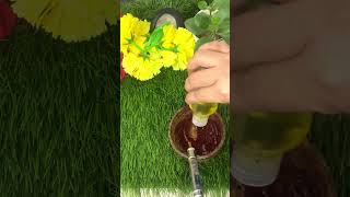 I made liquid sindoor from TurmericHerbal Sindoor हल्दी से liquid कुमकुम और सिंदूर कैसे बनायें [upl. by Ikkir255]