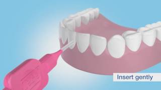 How to use a TePe Interdental Brush [upl. by Blinnie]