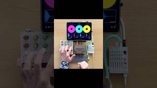 Chroma Console pedal live looping with Colour Palette thumb piano OPZ and Loopy Pro on iPad [upl. by Iila961]