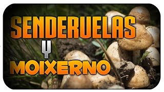 Senderuelas y Moixernó empieza la temporada¡¡¡ [upl. by Greer]