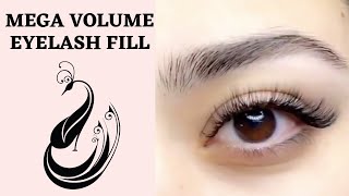 How to Do A Mega Volume Eyelash Extension Fill  Eyelash Extensions 101 [upl. by Enilehcim]