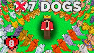 I Collect Every DOG Variants of 121 In Minecraft Hindi HARDCORE Mode [upl. by Eelinnej113]