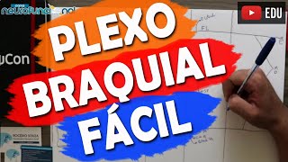 PLEXO BRAQUIAL DE FORMA FÁCIL  Macete [upl. by Dagny]