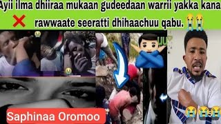 Salphina Guddaa Oromoo tiktok online children ethiopia give fib tubeemebetkassa donkey tv [upl. by Norrehc]