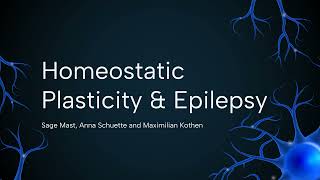 What Role does Homeostatic Plasticity have in Epilepsy  A Computational Approach to EI Balance [upl. by Tavie]