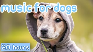 NO ADS Music for Dogs FastActing Dog Relaxation Therapy Sounds [upl. by Ybocaj419]