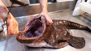 Japanese Food  GIANT MONKFISH SASHIMI Tokyo Seafood Japan [upl. by Saltsman]