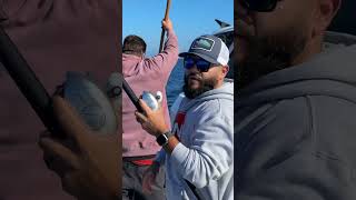 Gaffing a bluefin tuna fishing fishingvideo sportfishing fishingtechniques [upl. by Eisor302]