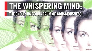 The Whispering Mind The Enduring Conundrum of Consciousness [upl. by Ikcin]