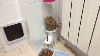 DISPENSADOR DE COMIDA CASERO amp FEEDER FOR PETS AUTOMATIC PART 2 [upl. by Lotz]