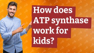 How does ATP synthase work for kids [upl. by Norej]