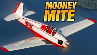 Exotic Birds The Mooney Mite [upl. by Roshelle]