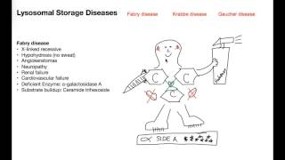 Lysosomal Storage Diseases Memory Tools [upl. by Hime]