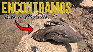 🦈𝐄𝐍𝐂𝐎𝐍𝐓𝐑𝐀𝐌𝐎𝐒 𝐞𝐬𝐭𝐨 𝐞𝐧 𝐥𝐚 𝐏𝐋𝐀𝐘𝐀 𝐃𝐄 𝐂𝐇𝐎𝐑𝐑𝐈𝐋𝐋𝐎𝐒  peru chorrillos tiburón [upl. by Mcintyre]