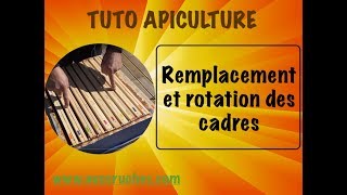 TUTO apiculture remplacement et rotation des cadres [upl. by Narej]