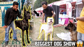 Biggest Dog Show in Haryana  Karnal Dog Show 😱 [upl. by Alac998]