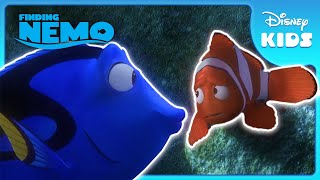 Just Keep Swimming 💦🐠  Finding Nemo  Disney Kids [upl. by Scevour]