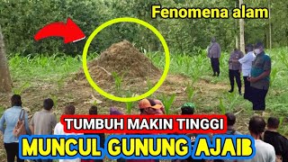 KEJADIAN VIRAL❗Fenomena alam muncul gunung tumbuh makin besar di jombang jawa timur [upl. by Rudolf709]