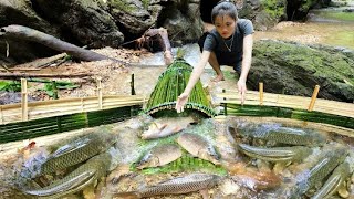 30 days Set a bamboo trap to catch giant fish on a natural streamI [upl. by Attolrahc732]