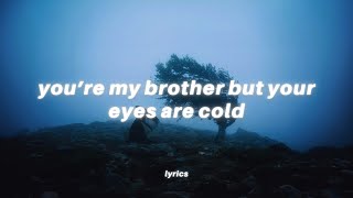 youre my brother but your eyes are cold Lyrics tiktok song  Frank Ocean  Wiseman [upl. by Powel]