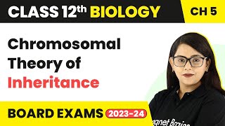 Class 12 Biology Ch5 Chromosomal Theory of InheritancePrinciples of Inheritance ampVariation 202223 [upl. by Hines]