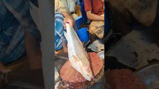 Amazing Poa Fish Cutting Skills In Bangladesh Local Fish Market shorts [upl. by Aven721]