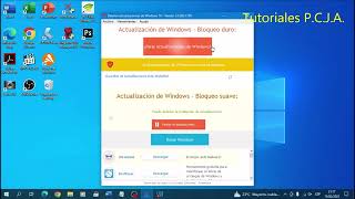 Detener actualizaciones automáticas en Windows 10 Stop Updates 10 [upl. by Engle839]