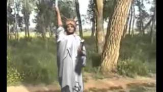 chanson chaoui  daoudi  aghrib [upl. by Silra]