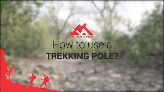 How to use TREKKING POLE   Trek The Himalayas [upl. by Kcirdorb339]