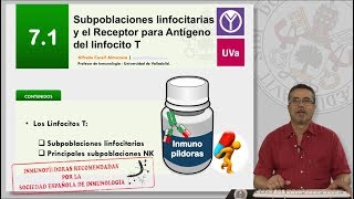 71 SUBPOBLACIONES LINFOCITARIAS Y EL RECEPTOR PARA ANTÍGENO DEL LINFOCITO T [upl. by Mcclain]