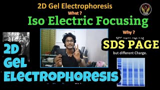 2D Gel Electrophoresis  Iso Electric Focusing  Point  Tamil  SDS PAGE  Biology  ThiNK VISION [upl. by Teferi447]